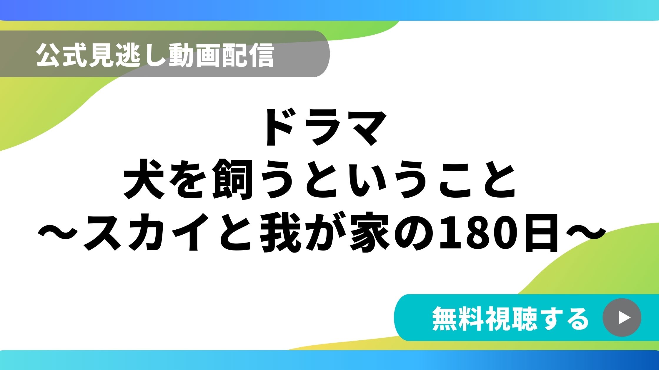 ドラマ 犬を飼うということ 再放送情報やフル動画を無料視聴できる配信サイト比較 動画の得する見かた損する見かた