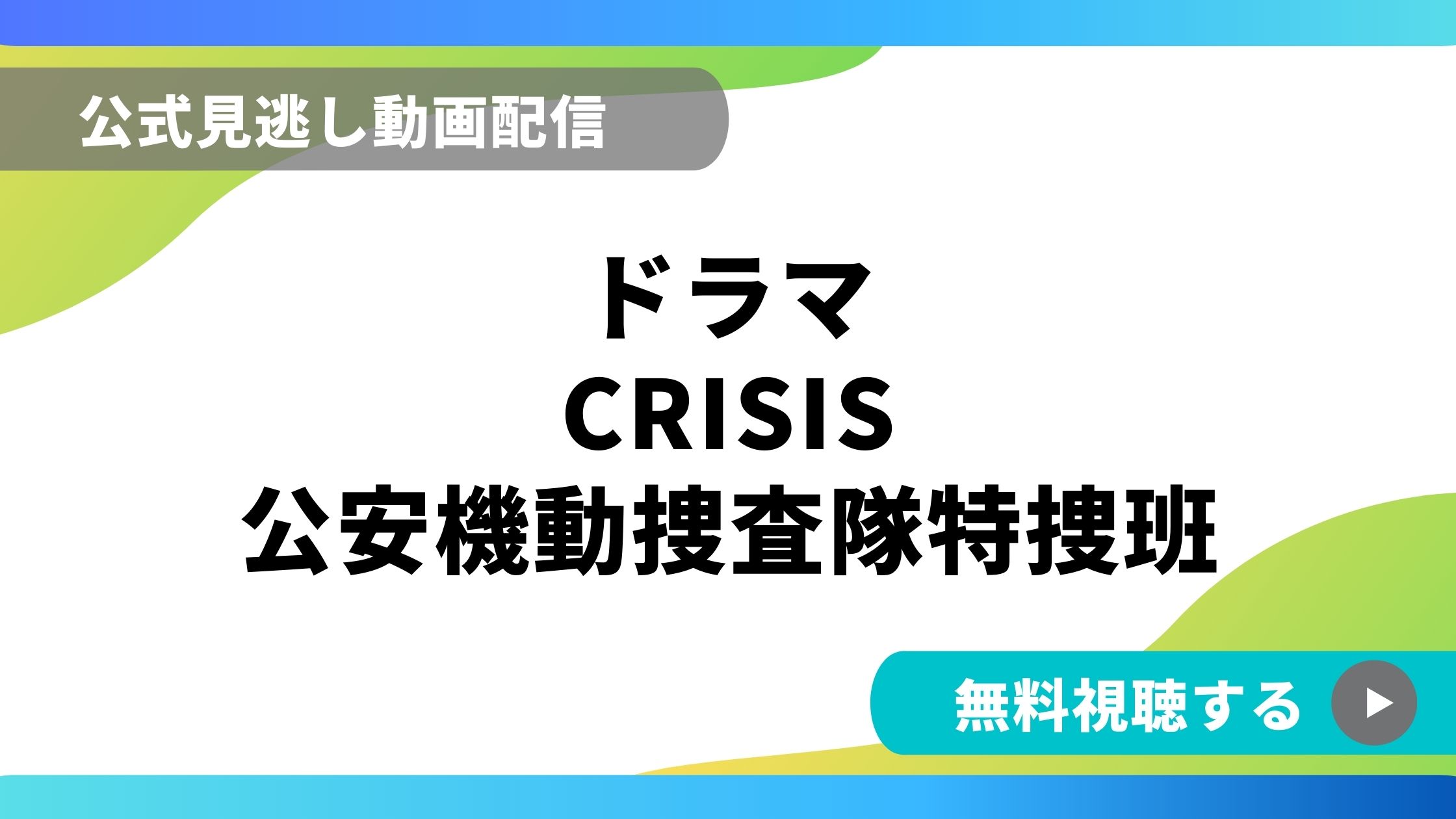 ドラマ Crisis公安機動捜査隊特捜班 再放送情報やフル動画を無料視聴できる配信サイト比較 動画の得する見かた損する見かた